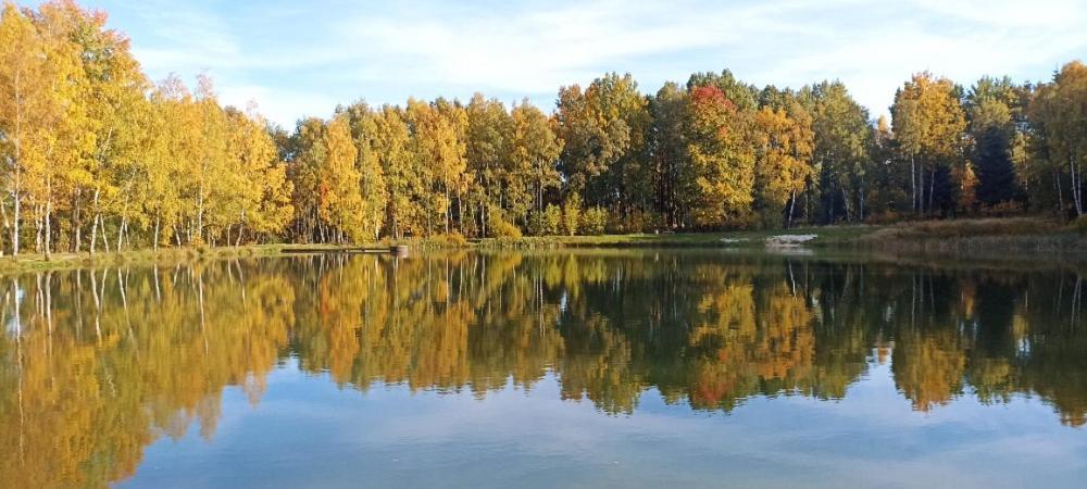 Feel Like Home Горни-Славков Экстерьер фото